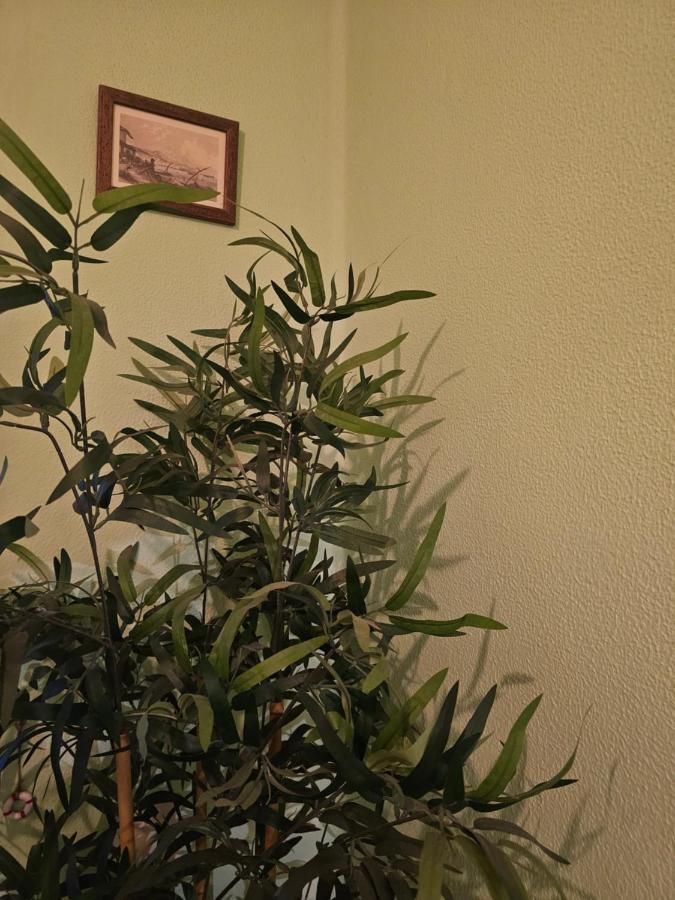 Habitacion Amplia Y Centrica En Piso Compartido A Coruña Kültér fotó